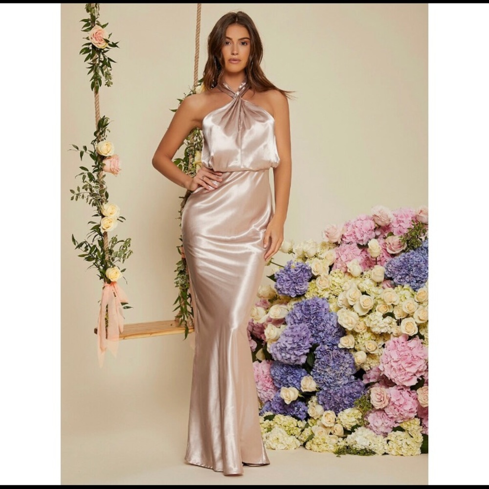 Brand New Blush Champagne Cut Out Back Halter Neck Evening Dress